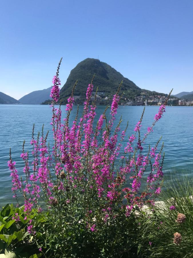 Connie S Home Free Parking Lugano Exterior photo
